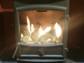 fireline-fx5w-gas